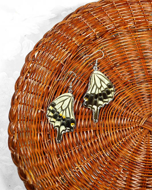 Real Butterfly Resin Earring