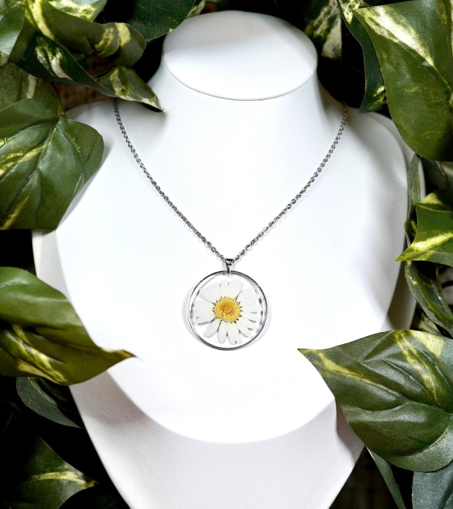 Pressed White Daisy Flower Circle Necklace