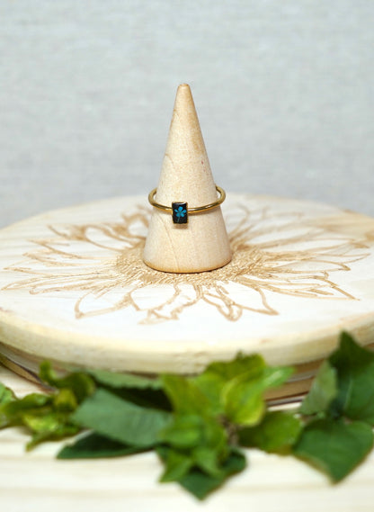 Blue Real Pressed Flower Dainty Rectangle Ring