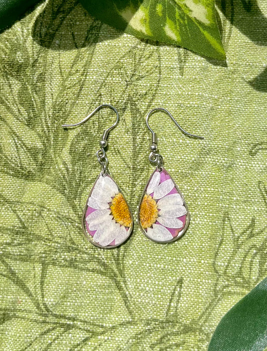 White Daisy and Pink Zennia Wildflower Teardrop Earrings