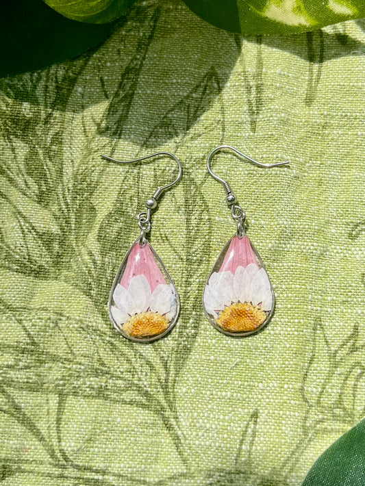 White Daisy & Pink Zennia Wildflower Teardrop Earrings