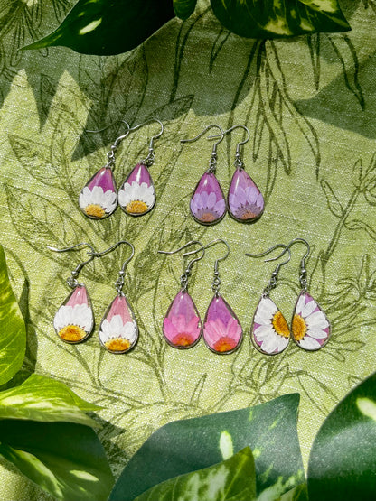 White Daisy and Pink Zennia Wildflower Teardrop Earrings