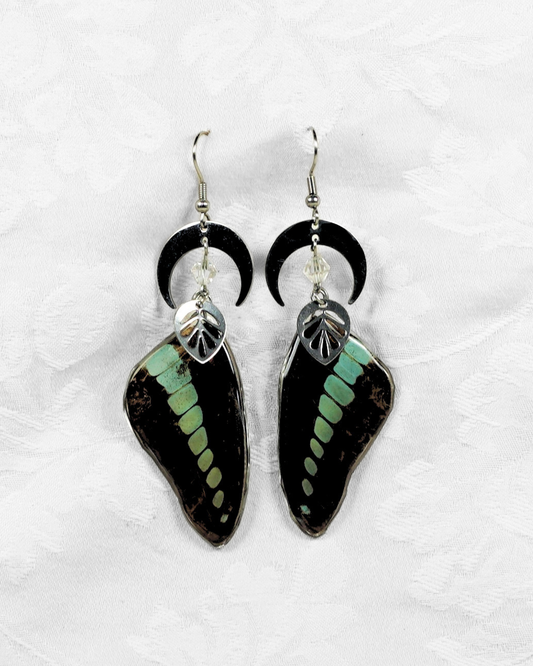 Real Bluebottle Butterfly Resin Earring