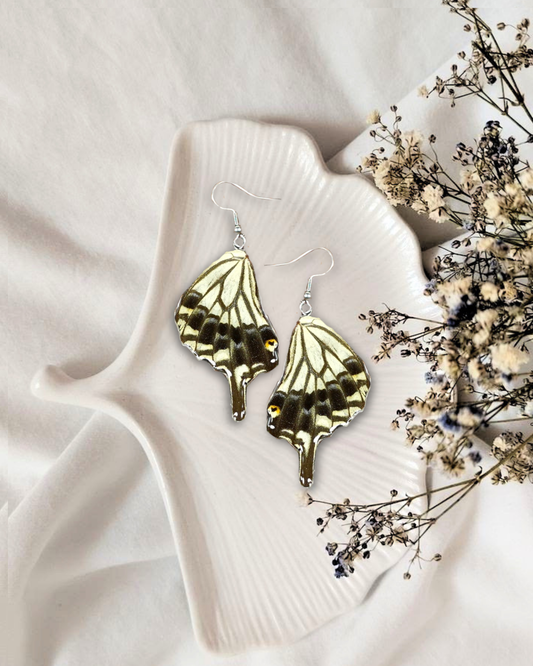 Real Butterfly Resin Earring