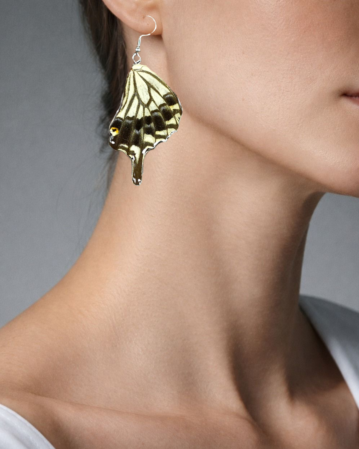 Real Butterfly Resin Earring