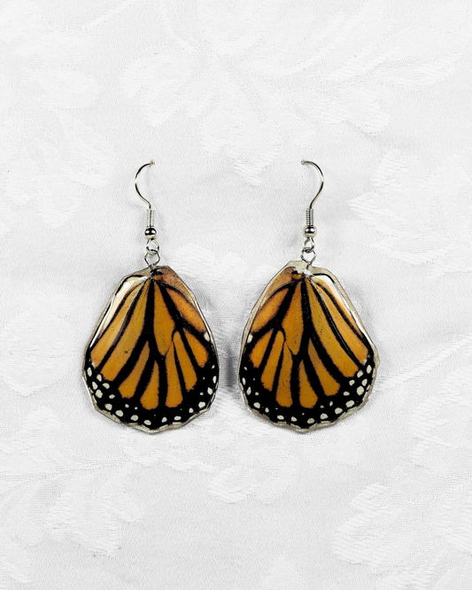 Real Monarch Butterfly Resin Earring
