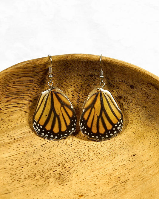 Real Monarch Butterfly Resin Earring