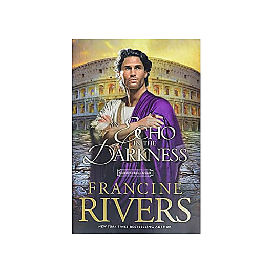 Echo in the Darkness book cover