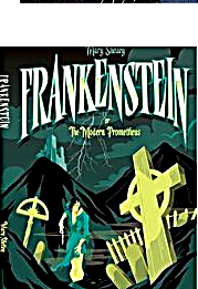 Frankenstein book cover